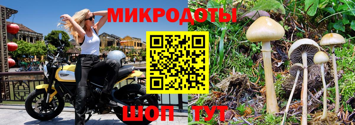Галлюциногенные грибы мухоморы Лобня
