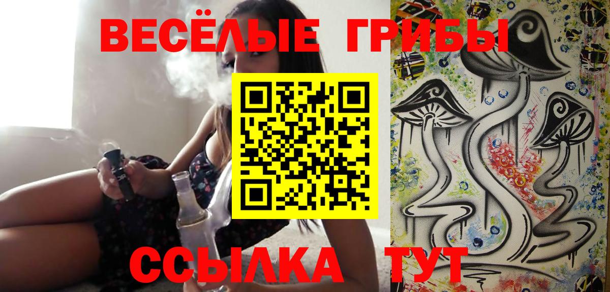 Псилоцибиновые грибы Psilocybe  Вход с VPN  Лобня 